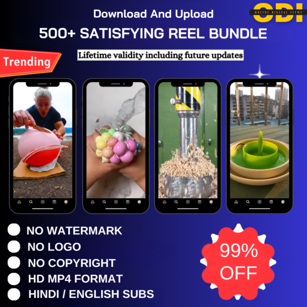 500+ Satisfying Reel Bundle